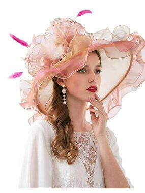 Organza Floral Fascinator Wedding Church Tea Party Hat Champagne